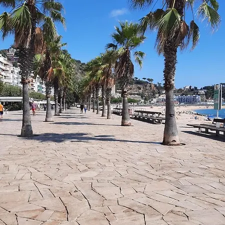 Delante De La Playa