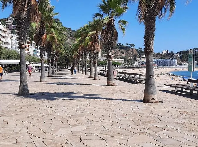Habitación Delante De La Playa